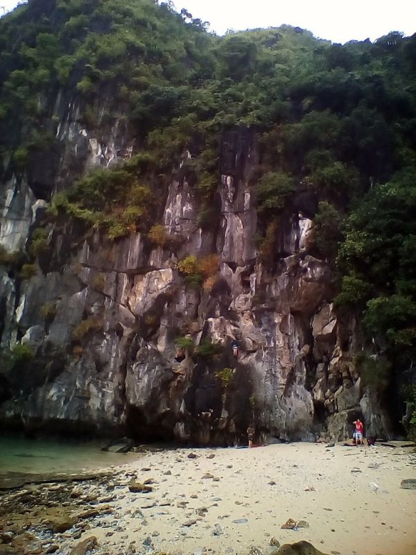 Dinamik